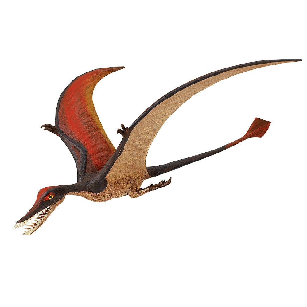 Safari Ltd. Rhamphorhynchus Figurine - 8-inch Flying Dinosaur | Educational Dino Toy for Ages 3+