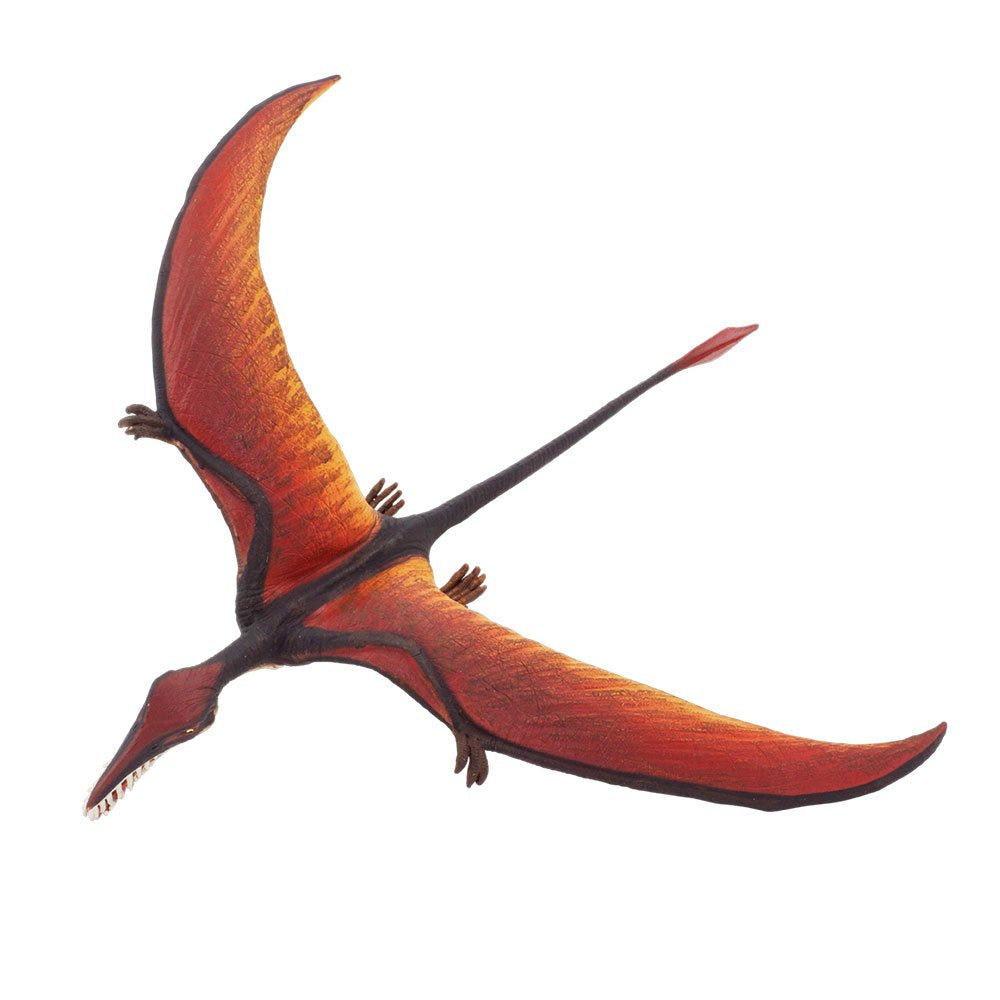 Safari Ltd. Rhamphorhynchus Figurine - 8-inch Flying Dinosaur | Educational Dino Toy for Ages 3+