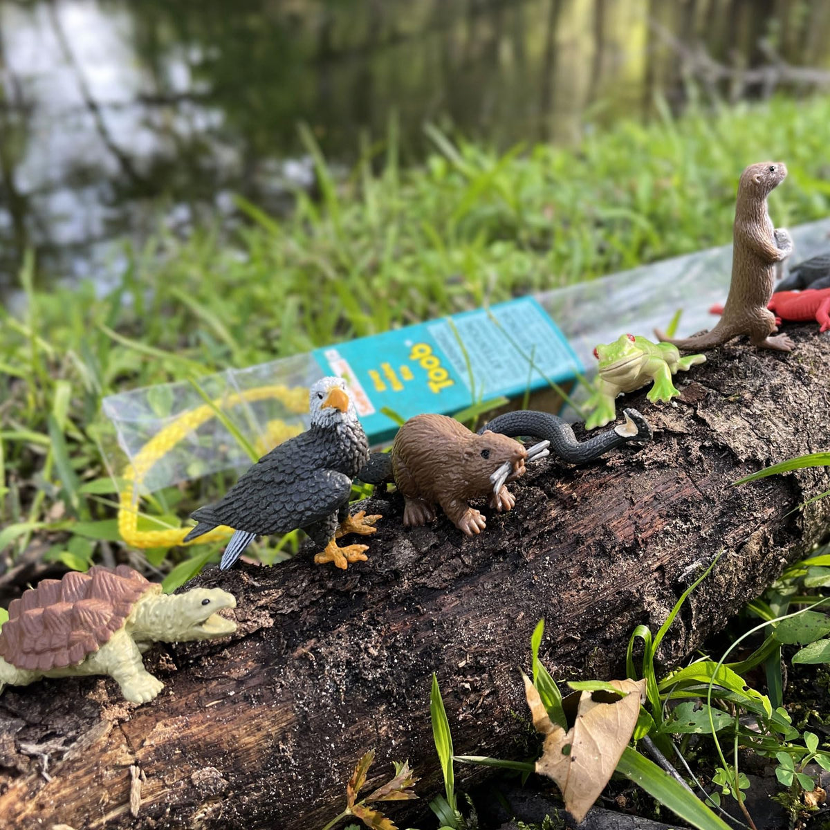 Safari Ltd. River Ecosystem TOOB – Hand-Painted Wildlife Figures for Learning & Play