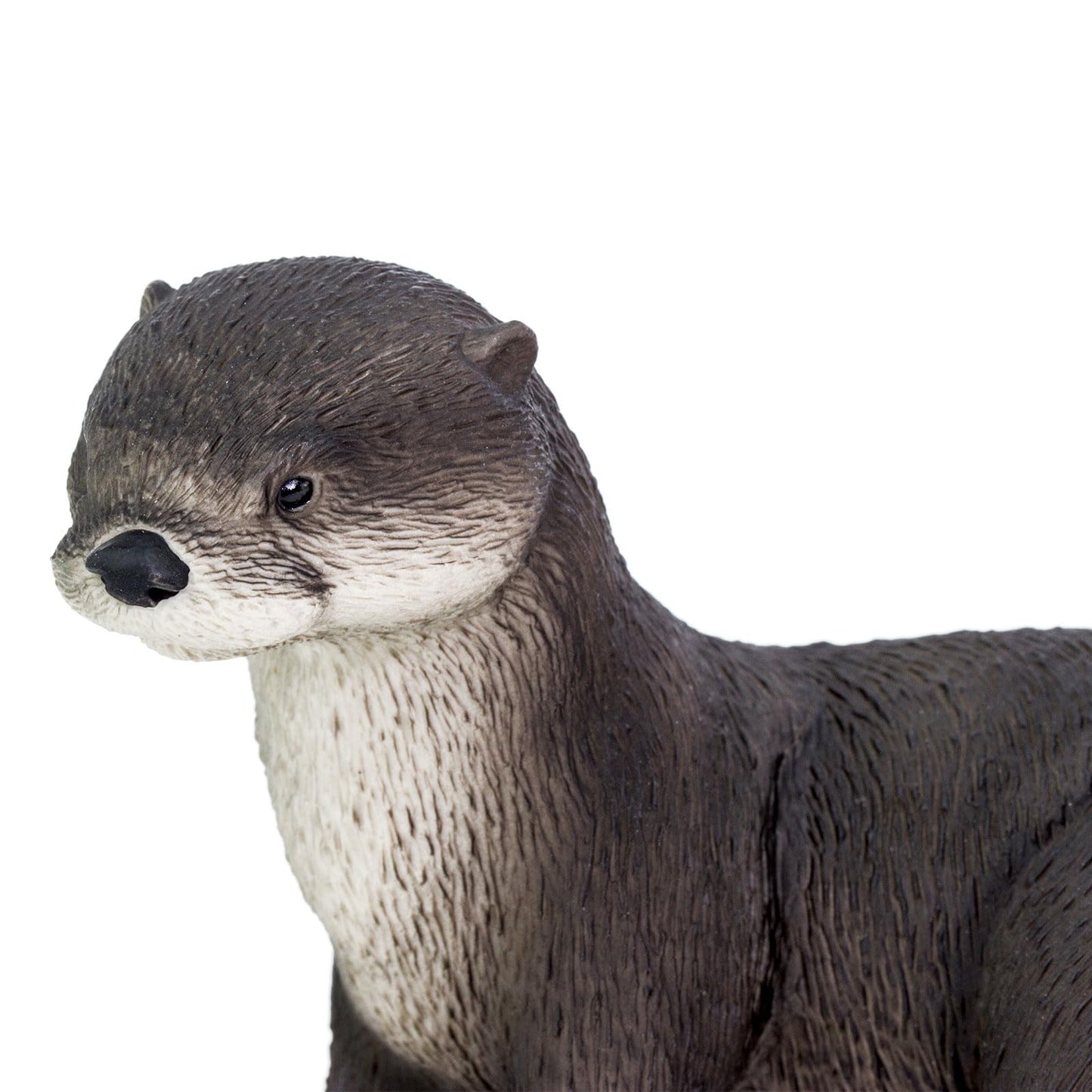 Safari Ltd River Otter Figurine – 5.5-inch Lifelike Animal Figure for Kids 3+