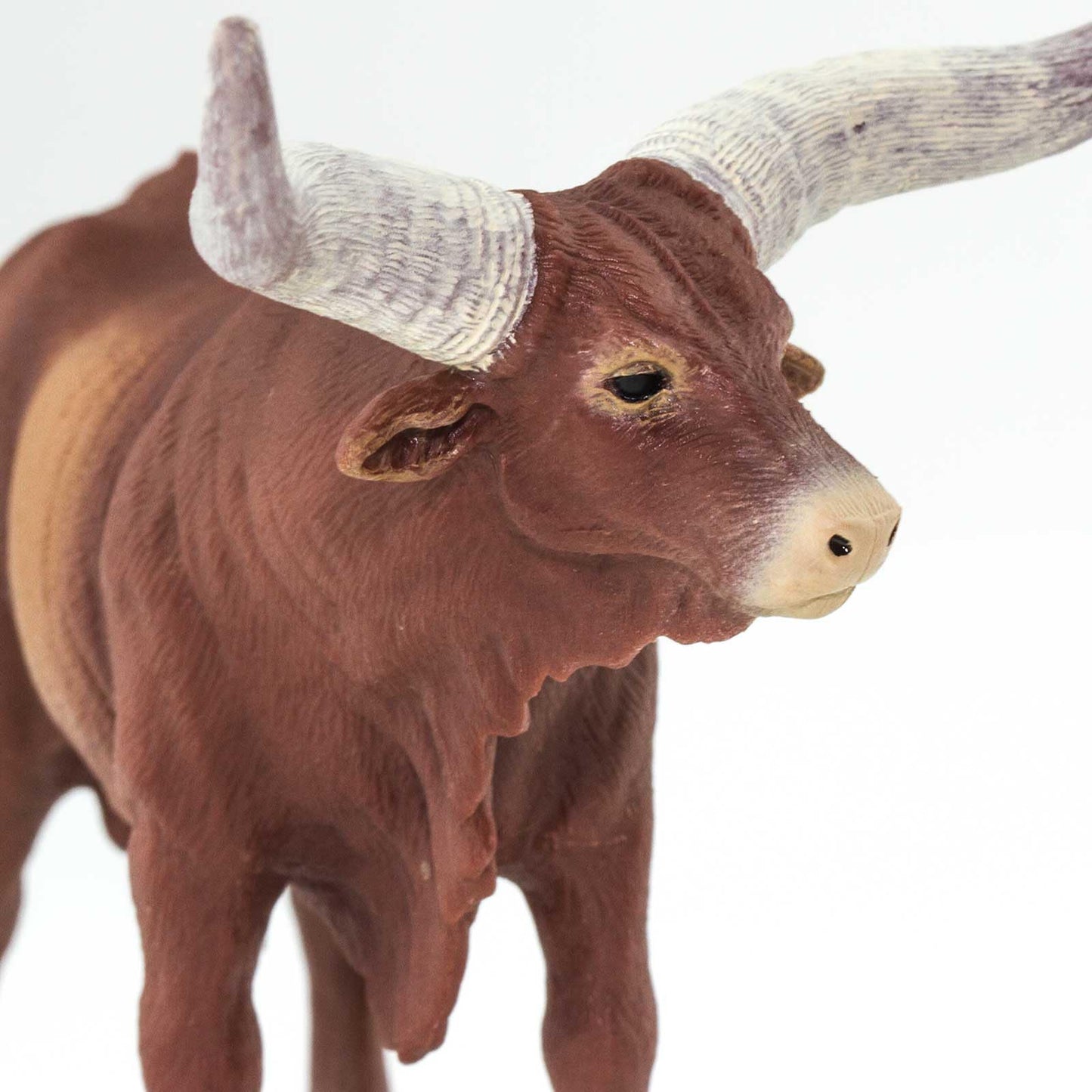 Safari Ltd. Watusi Bull Figurine – 6-inch Plastic Farm Animal Toy for Kids 3+