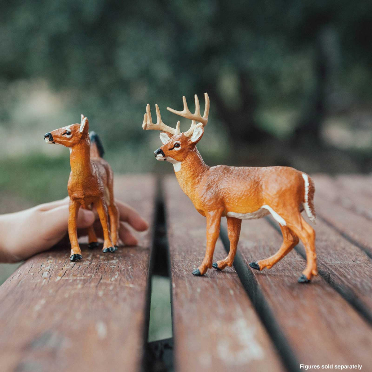 Safari Ltd. Whitetail Buck Figurine – Realistic 4.95-inch Model for Kids 1+