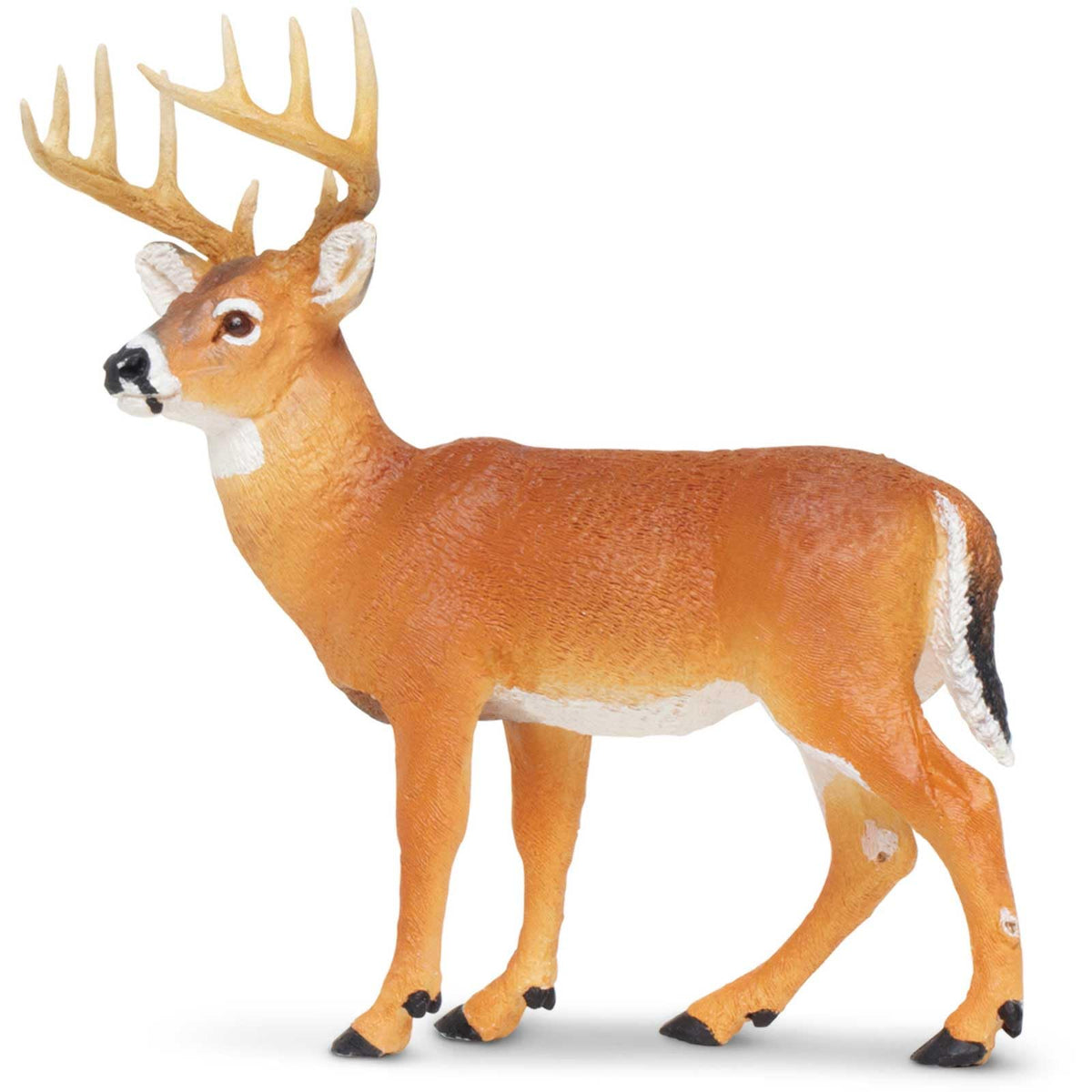 Safari Ltd. Whitetail Buck Figurine – Realistic 4.95-inch Model for Kids 1+