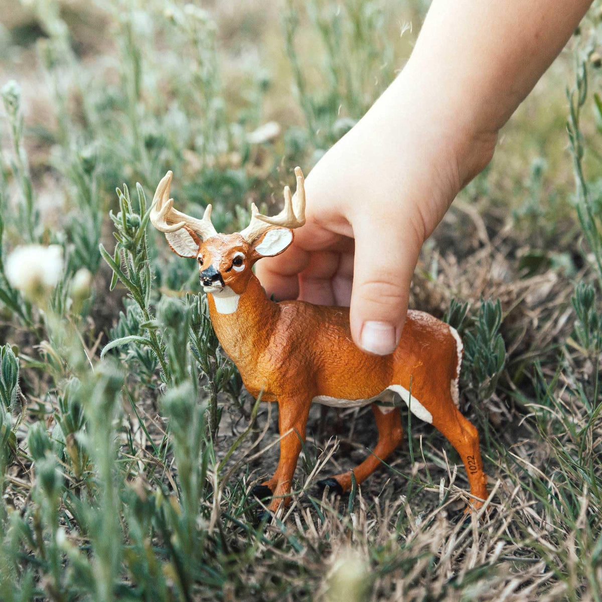 Safari Ltd. Whitetail Buck Figurine – Realistic 4.95-inch Model for Kids 1+