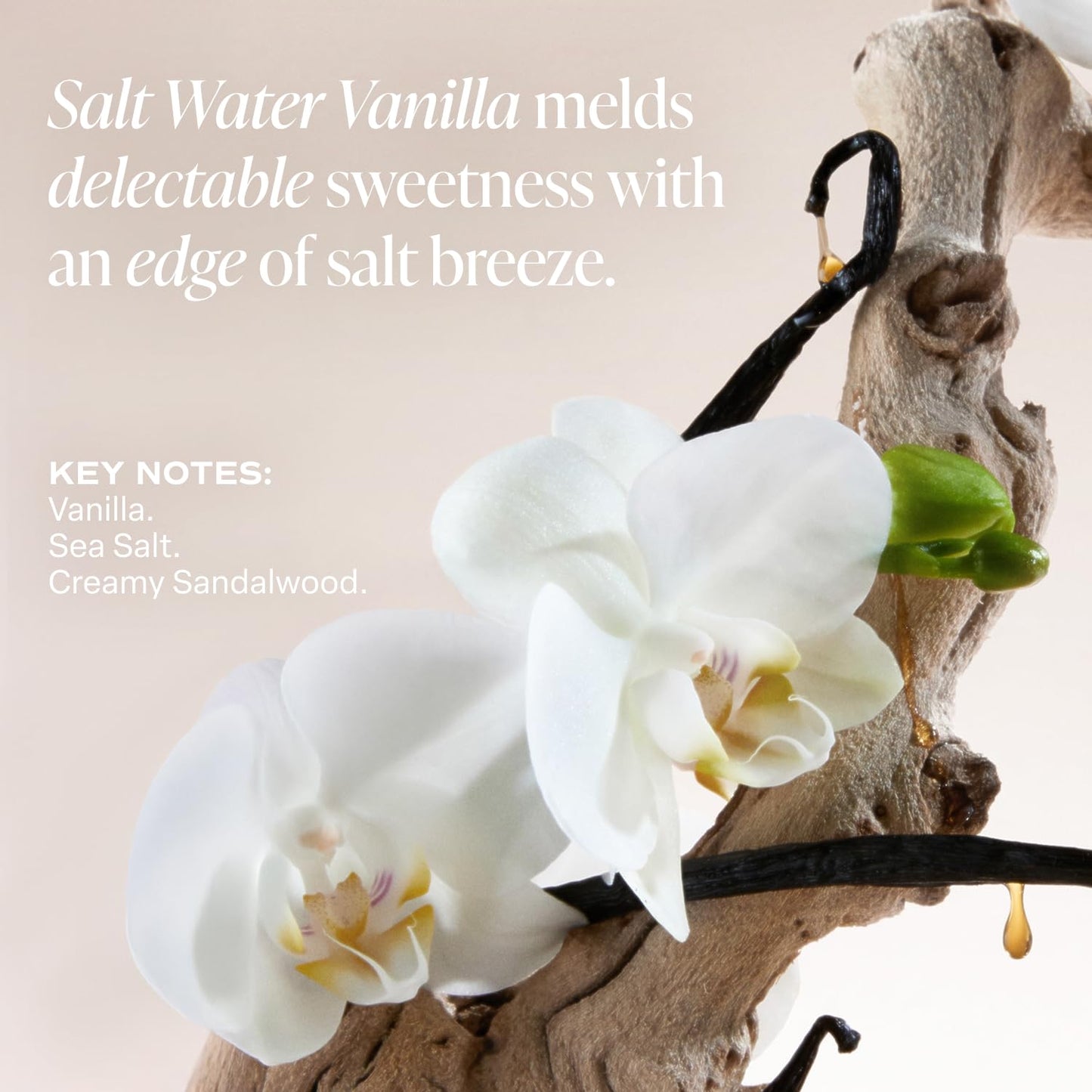 Saltair Serum Deodorant Salt Water Vanilla 2 Pack — 5% AHA Formula, Aluminum-Free Odor Control