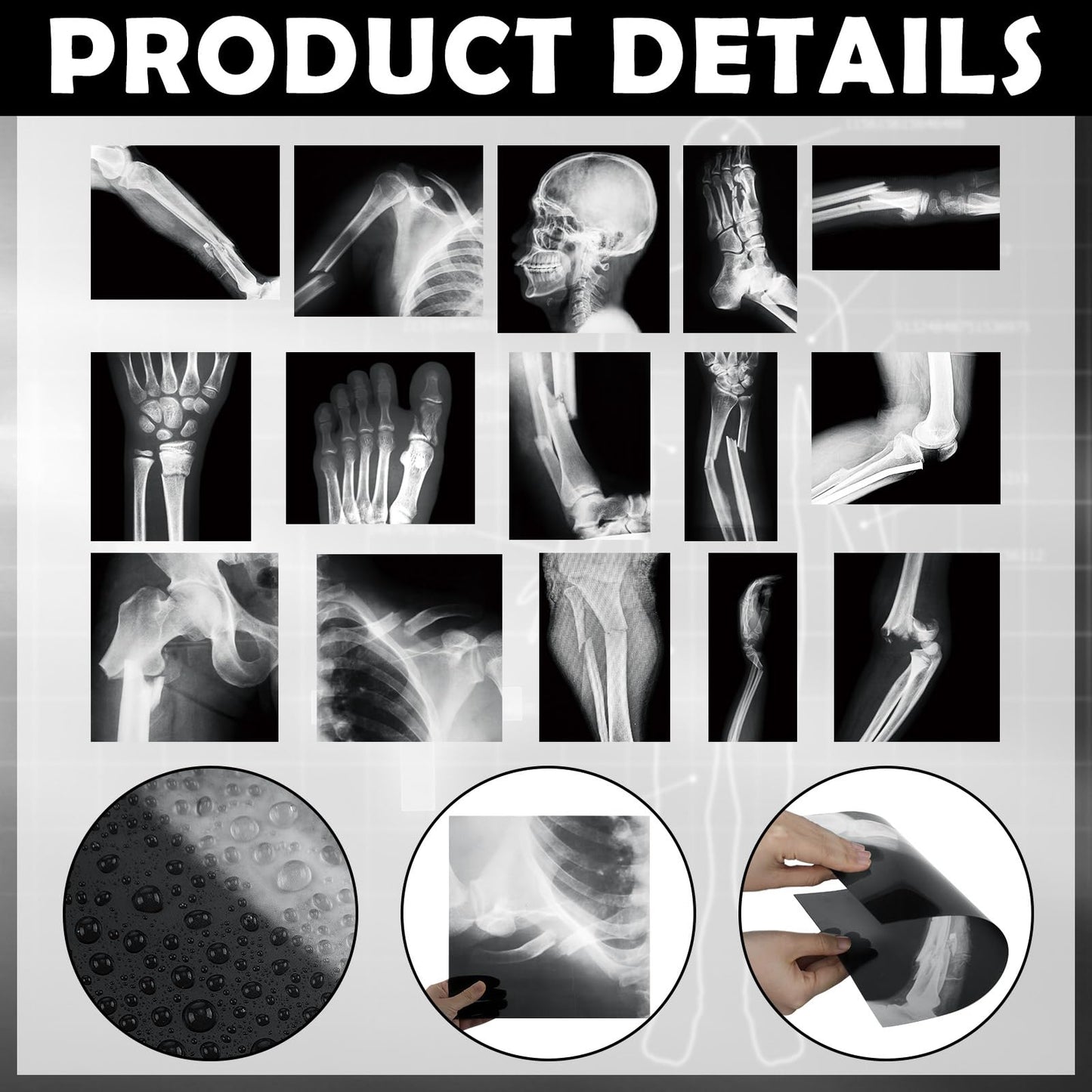 Sayglossy 15 Pcs Broken Bones X-Ray Set for Kids — Realistic PVC Skeleton X-Rays