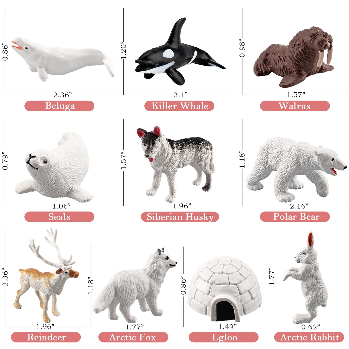 SCAHOW 10 PCS Arctic Animals Figures – Polar Bear, Fox, Beluga & More for Dioramas & Classroom Projects