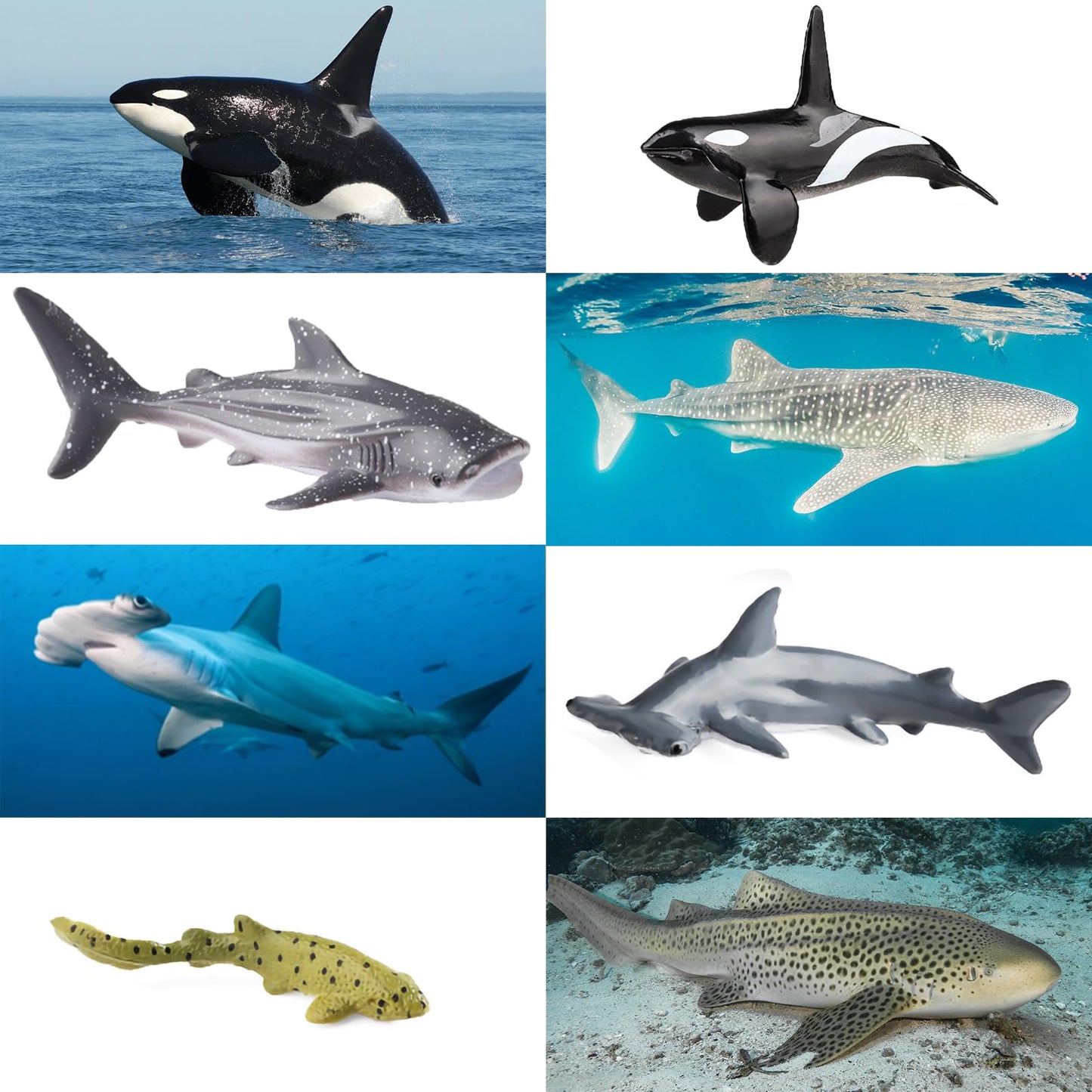 SCAHOW 12pc Sea Animal Figures - Realistic Ocean Toys Set (Whale, Shark, Octopus)