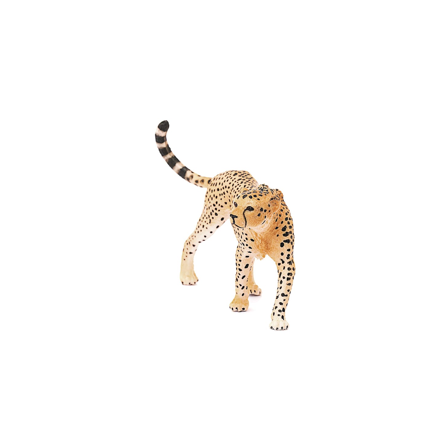 Schleich Wild Life Female Cheetah Figurine – Realistic, Durable Educational Toy for Kids 3+