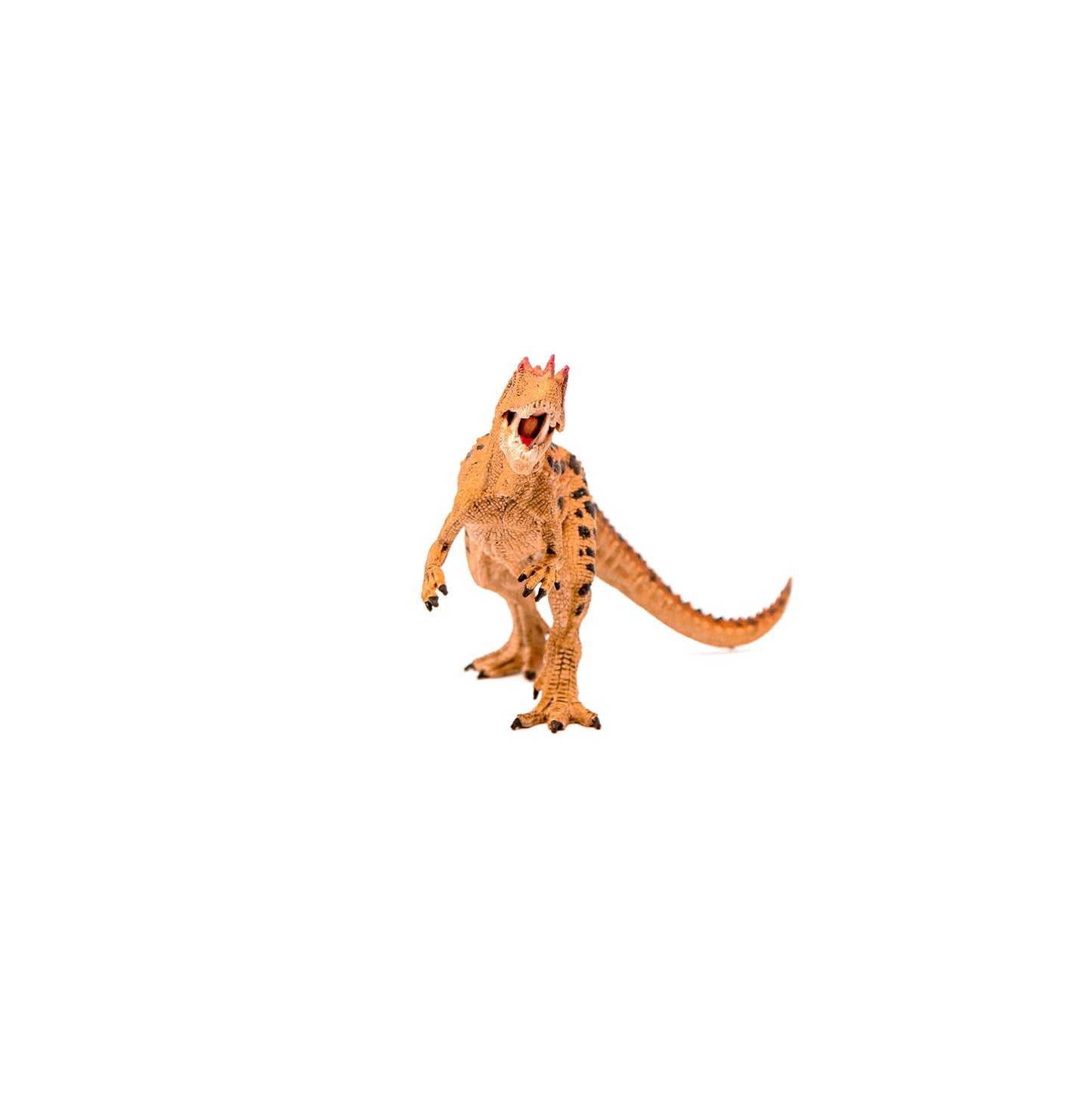 Schleich Ceratosaurus Dinosaur Toy – Realistic Moving Jaw Figure for Kids 4+