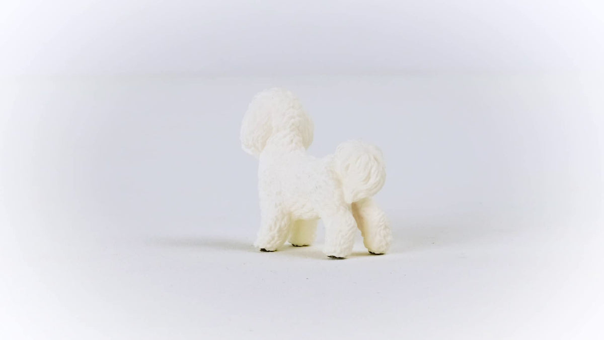 Schleich Farm World Bichon Frise Figurine – Realistic Farm Animal Toy for Ages 3+
