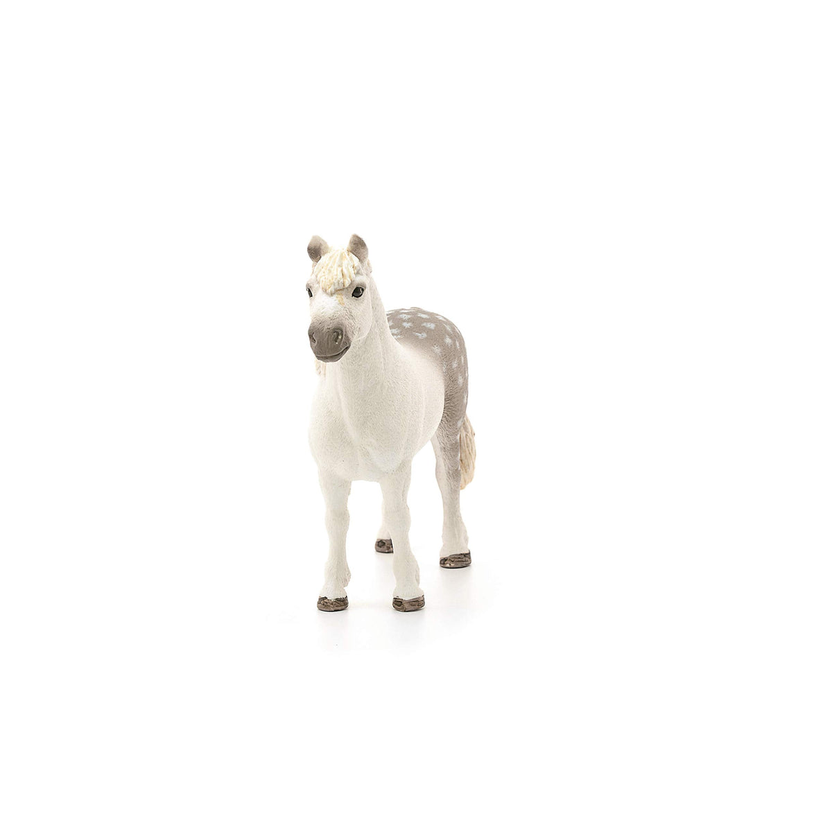 Schleich Farm World Welsh Pony Stallion Toy | Realistic Farm Figure for Kids 3+