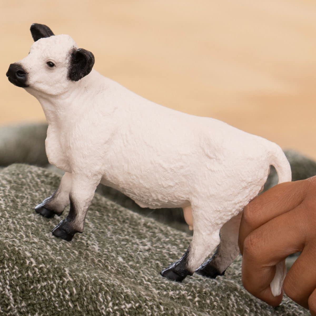 Schleich Farm World Galloway Cow Figurine – Realistic, Durable Farm Animal Toy