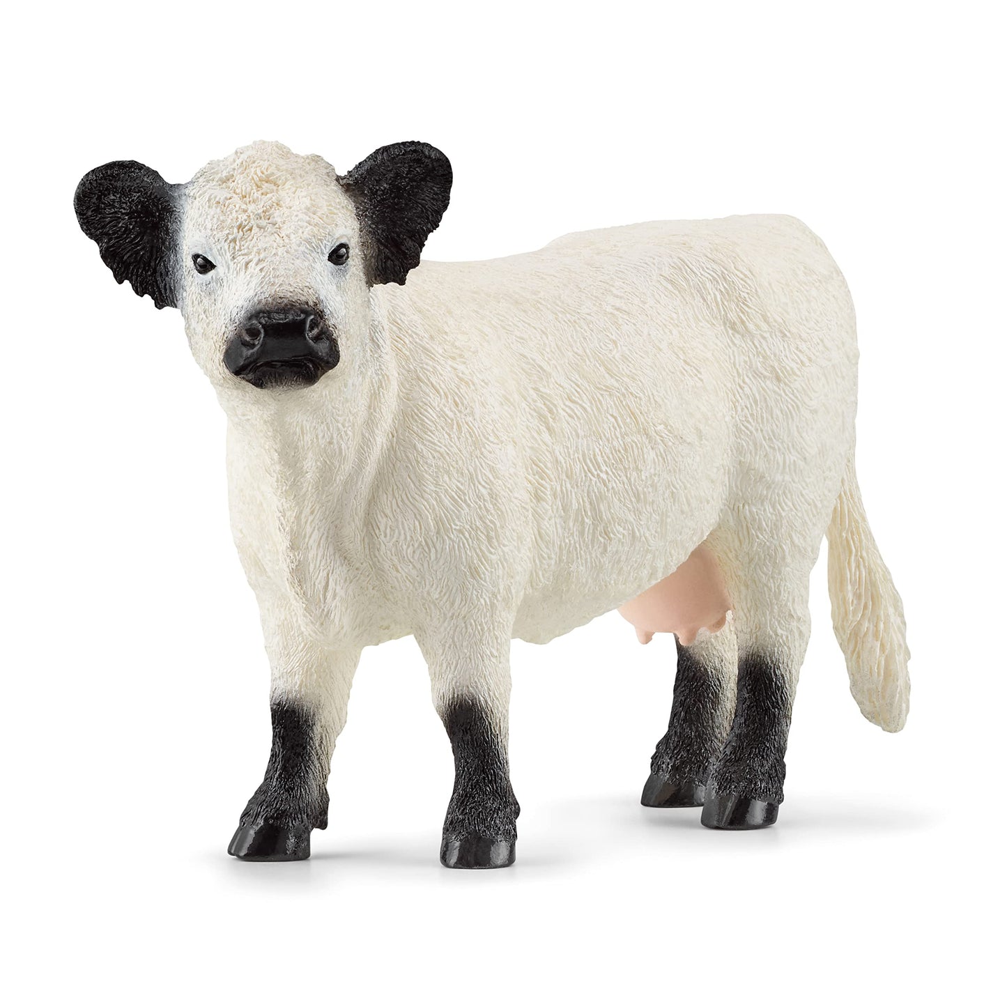 Schleich Farm World Galloway Cow Figurine – Realistic, Durable Farm Animal Toy