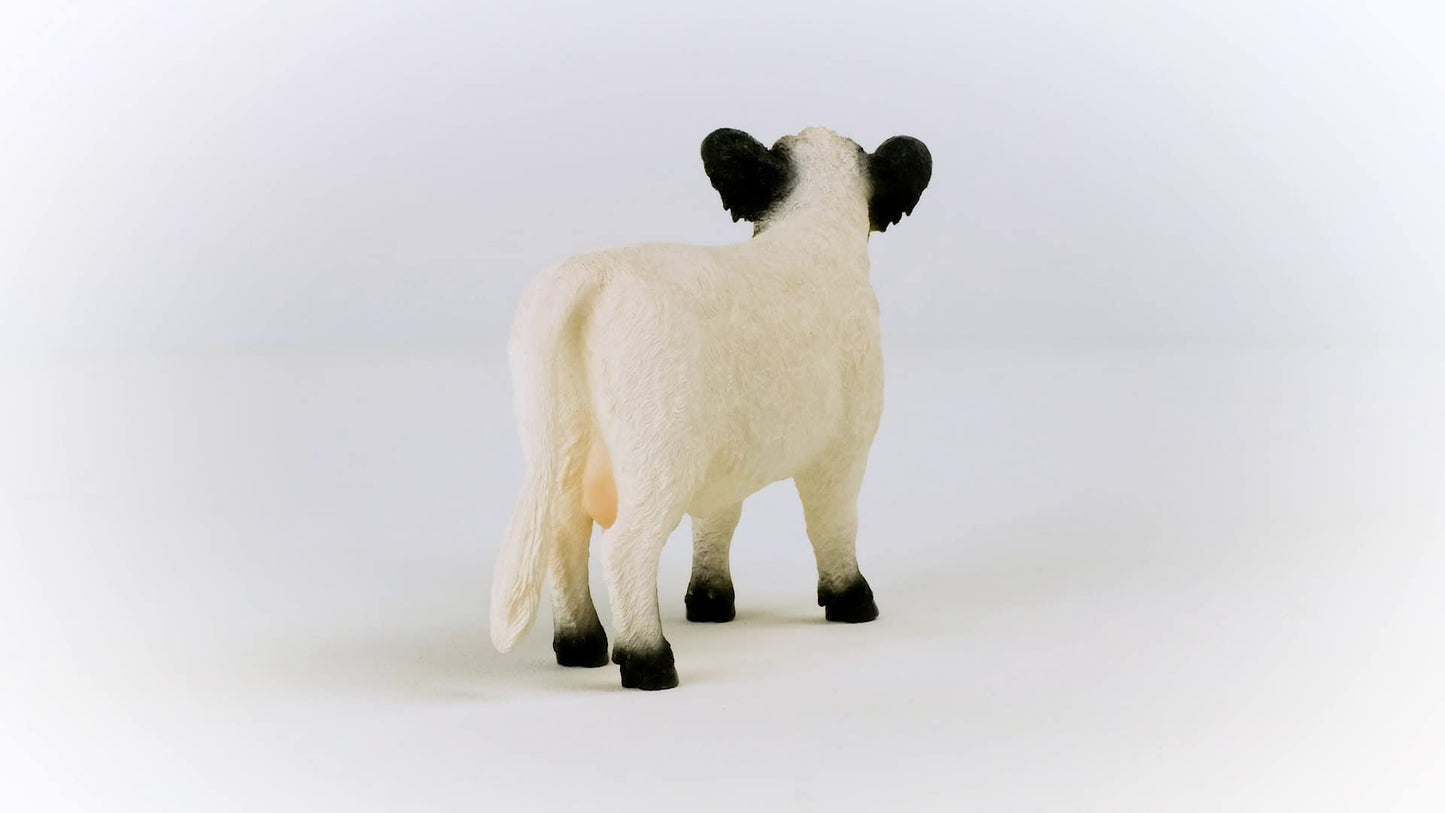 Schleich Farm World Galloway Cow Figurine – Realistic, Durable Farm Animal Toy