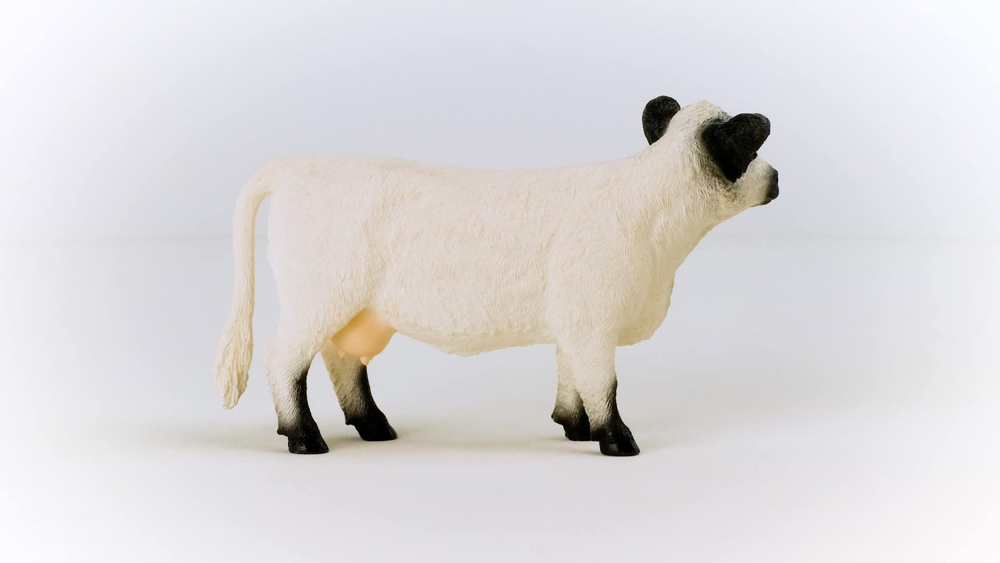 Schleich Farm World Galloway Cow Figurine – Realistic, Durable Farm Animal Toy