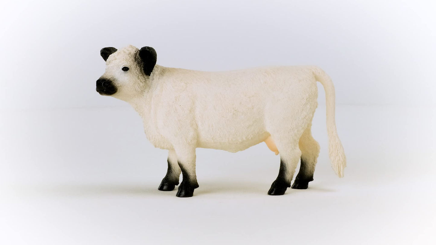 Schleich Farm World Galloway Cow Figurine – Realistic, Durable Farm Animal Toy