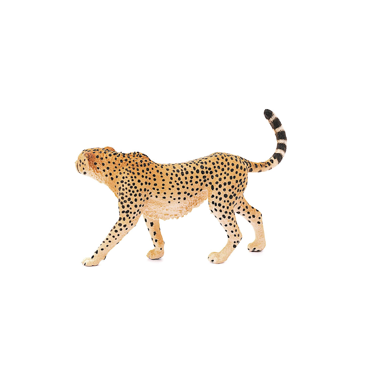 Schleich Wild Life Female Cheetah Figurine – Realistic Pretend Play for Kids 3+