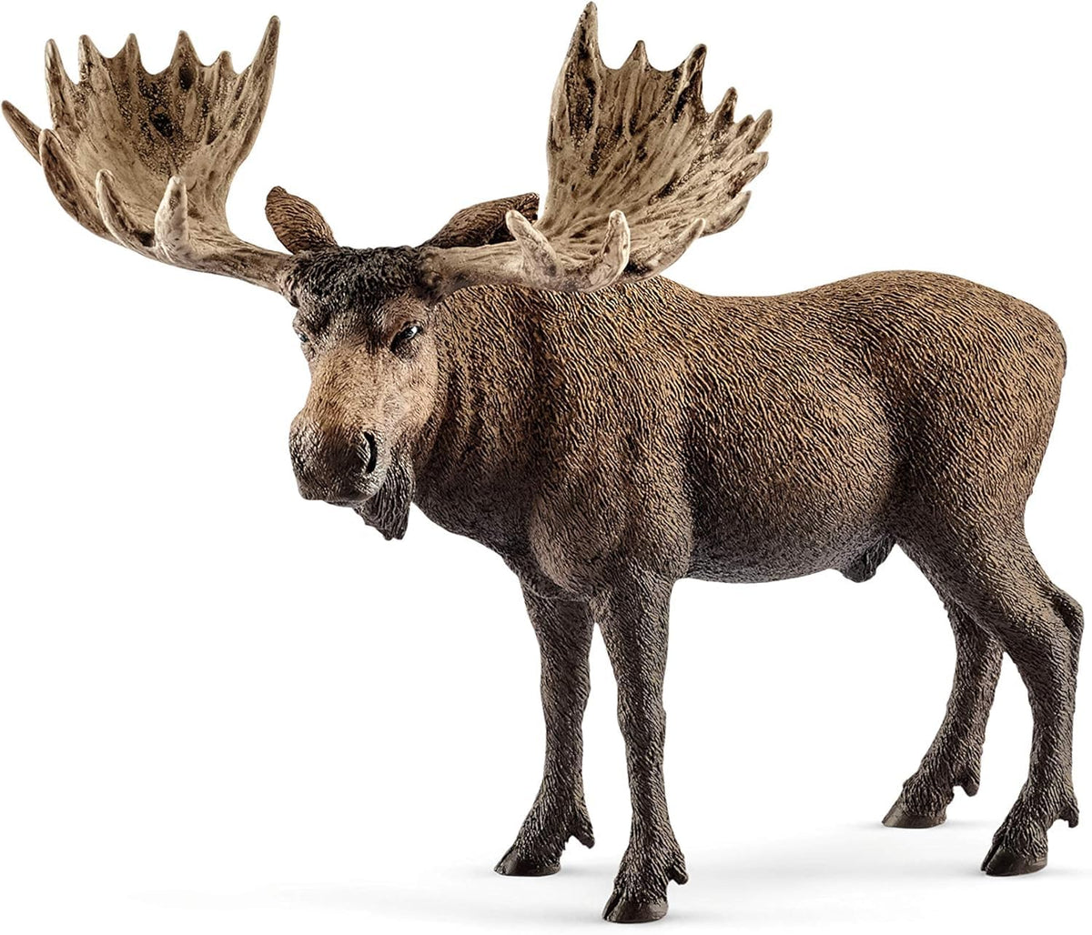 Schleich Wild Life Moose Bull Figurine – Realistic Animal Toy for Kids 3-8