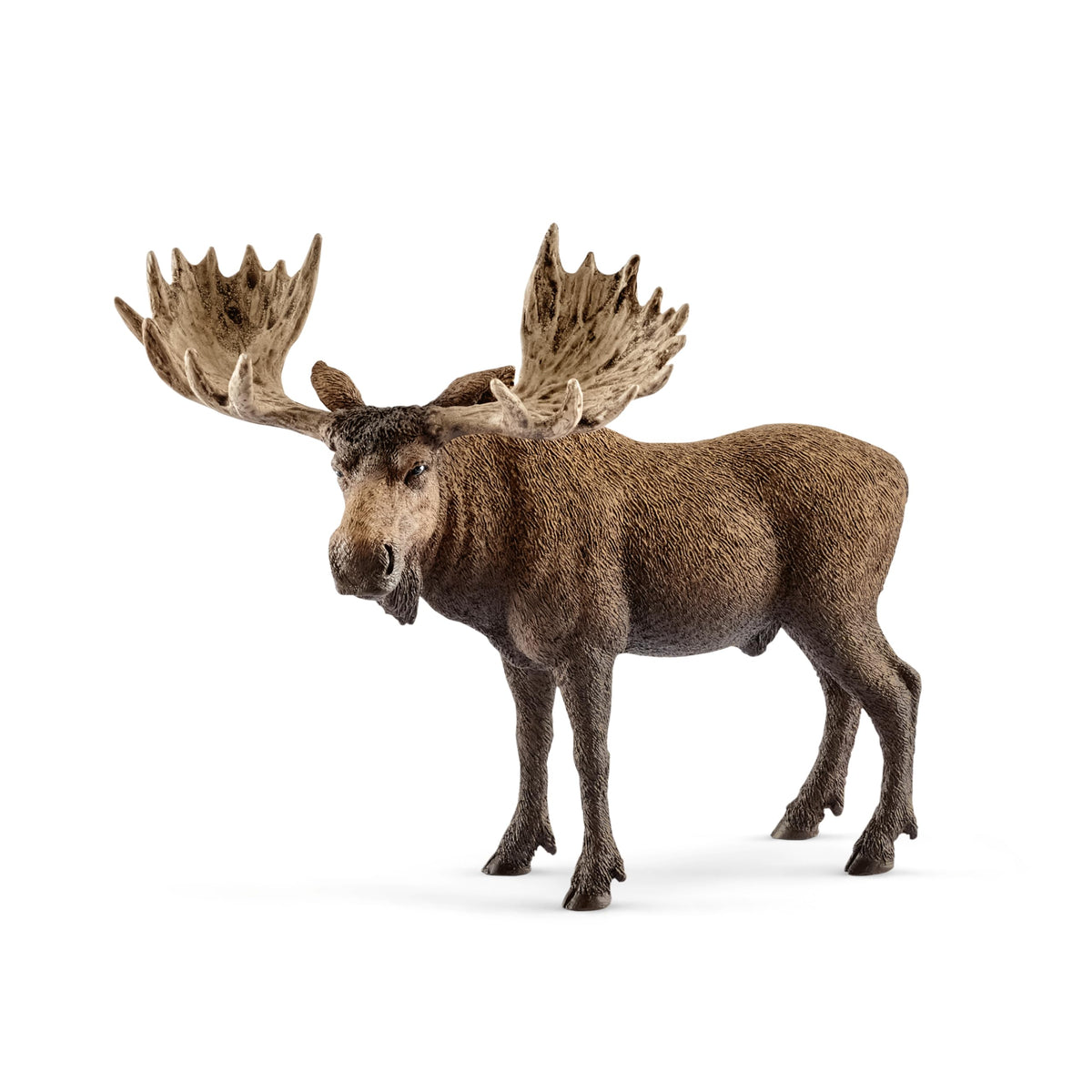 Schleich Wild Life Moose Bull Figurine – Realistic Animal Toy for Kids 3-8