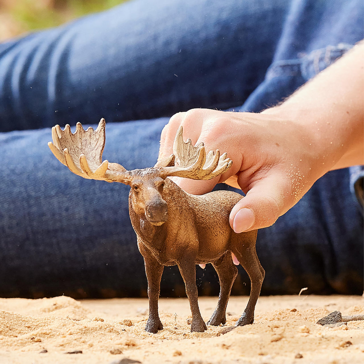 Schleich Wild Life Moose Bull Figurine – Realistic Animal Toy for Kids 3-8