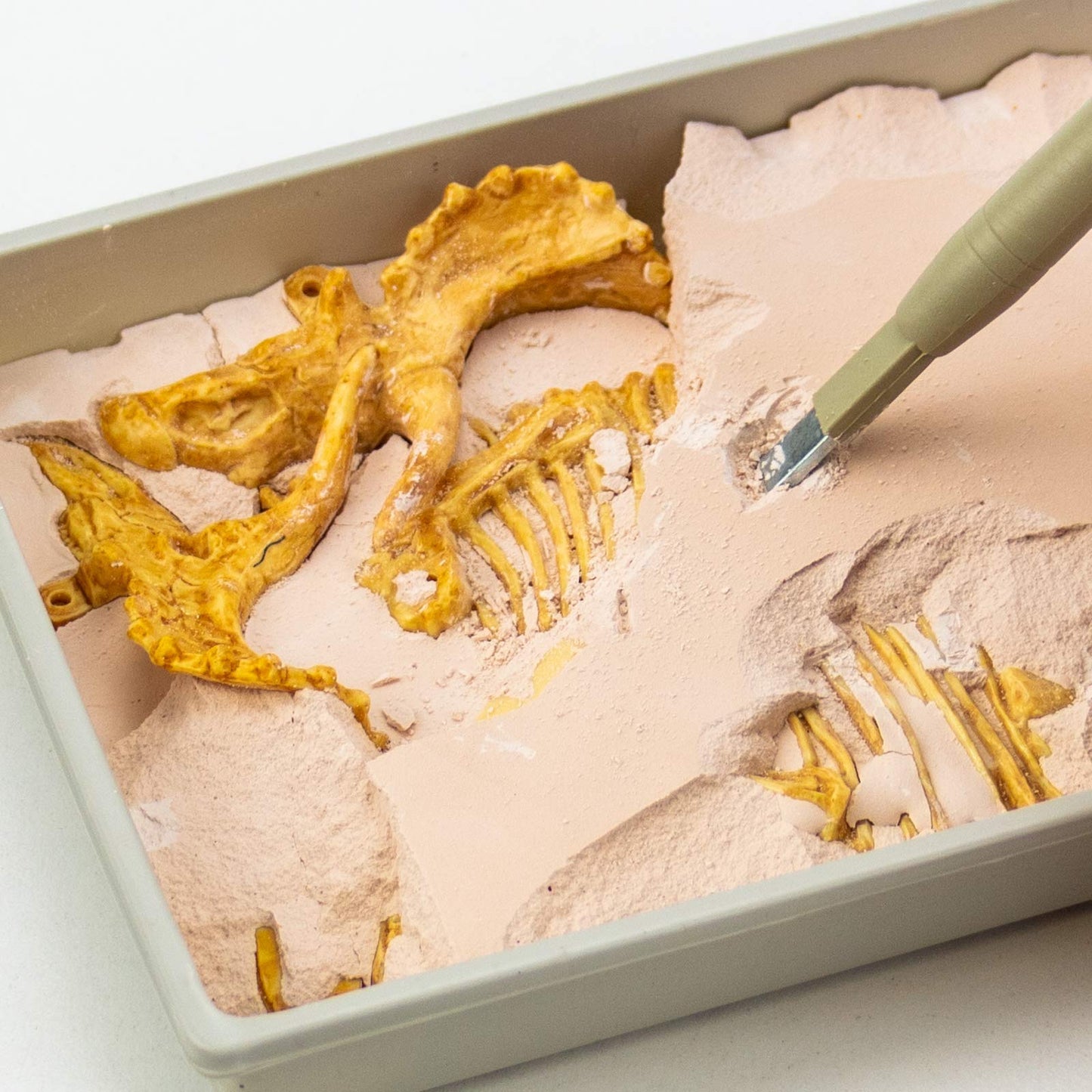 Science4you Triceratops Dinosaur Fossil Dig Kit – Excavate & Assemble 10 Bones