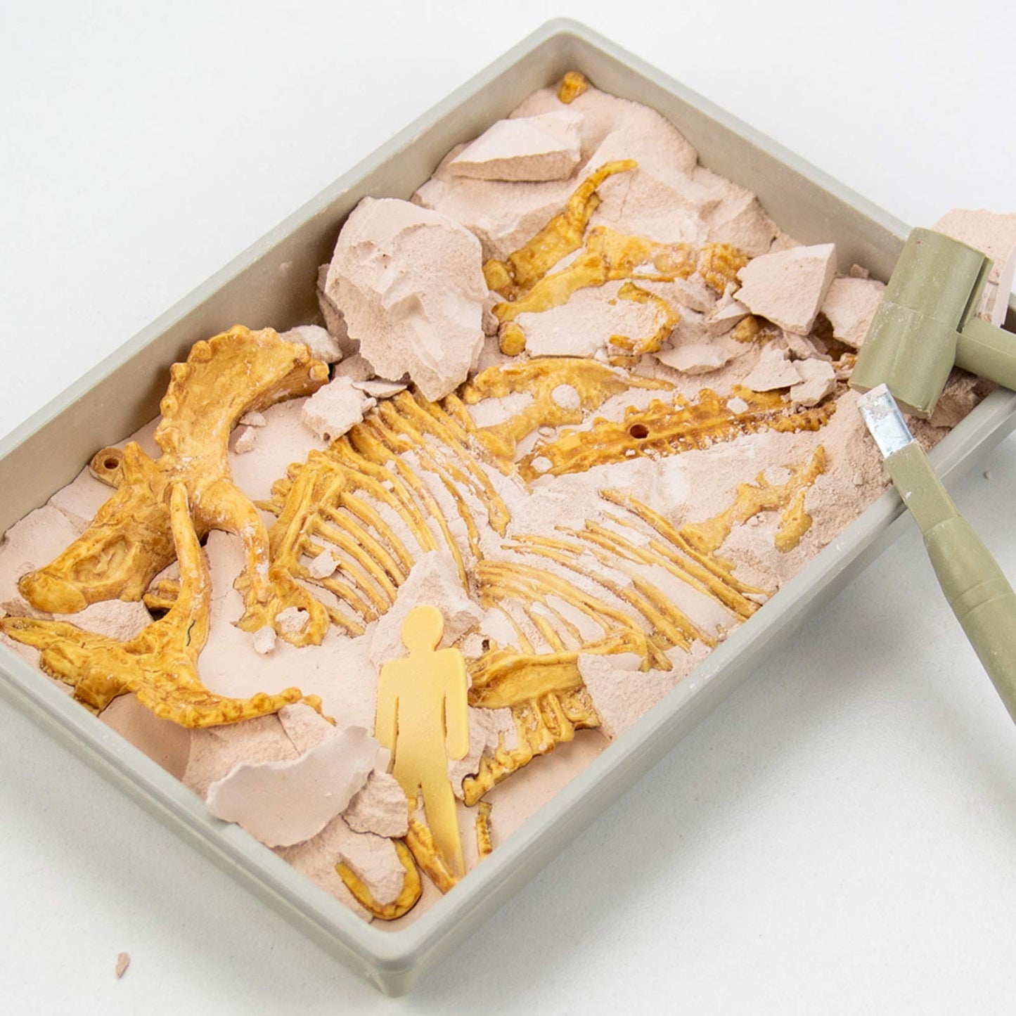 Science4you Triceratops Dinosaur Fossil Dig Kit – Excavate & Assemble 10 Bones
