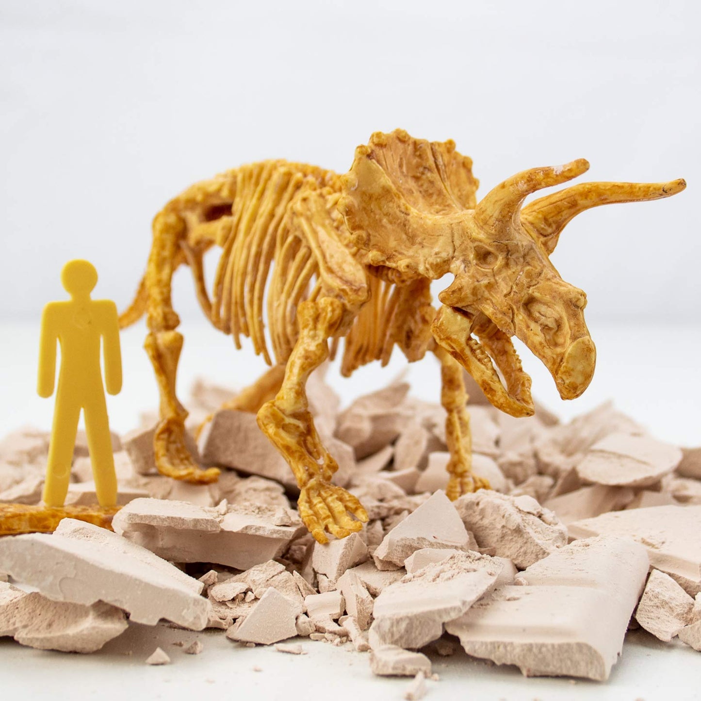 Science4you Triceratops Dinosaur Fossil Dig Kit – Excavate & Assemble 10 Bones
