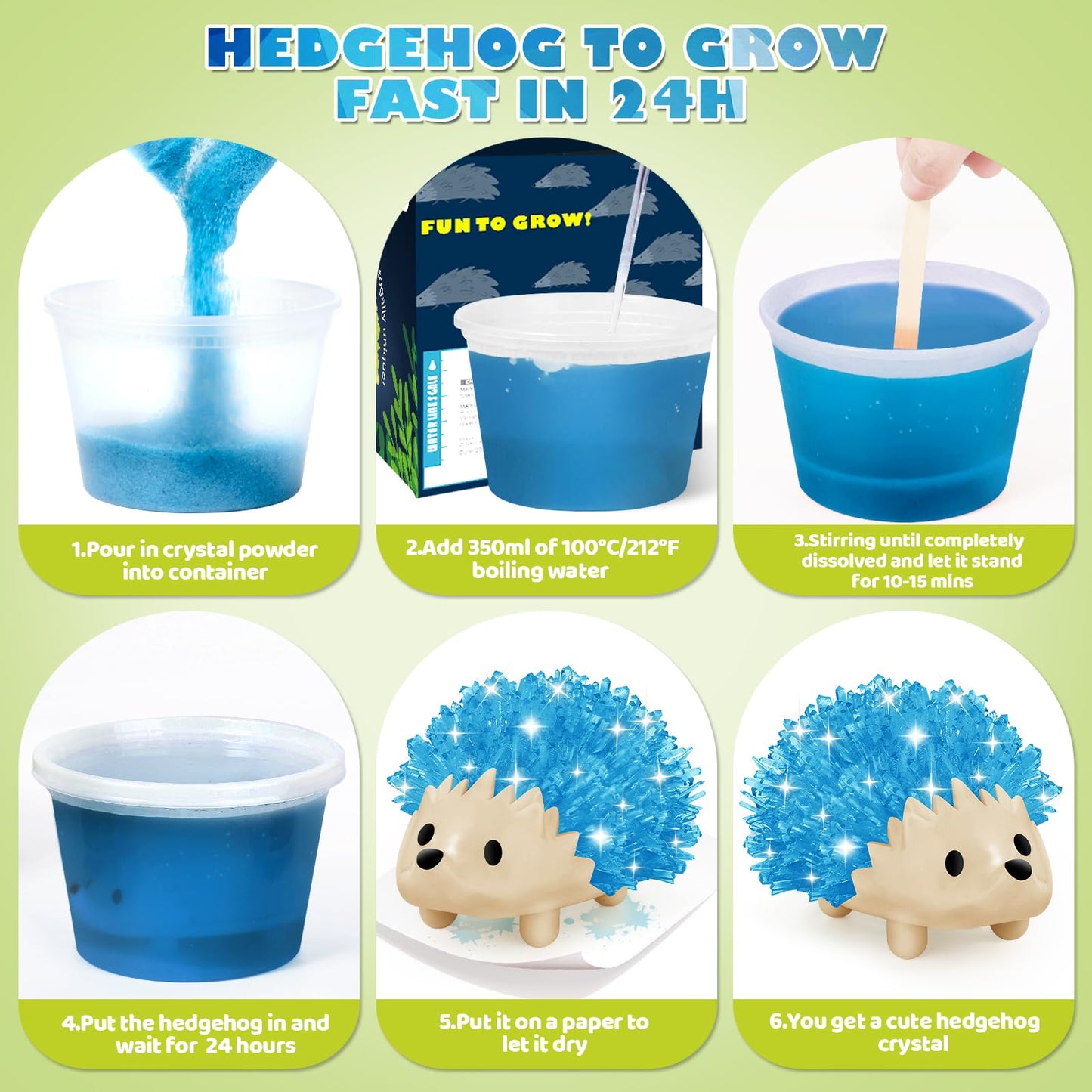 Sdaymol Crystal Growing Kit for Kids – Hedgehog Crystals in Blue & Green (24H)