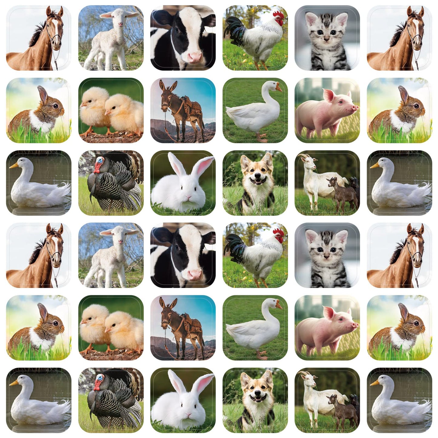 Seajan 600 Pcs Farm Animal Stickers for Kids – Realistic Barnyard Stickers for Classrooms & Parties