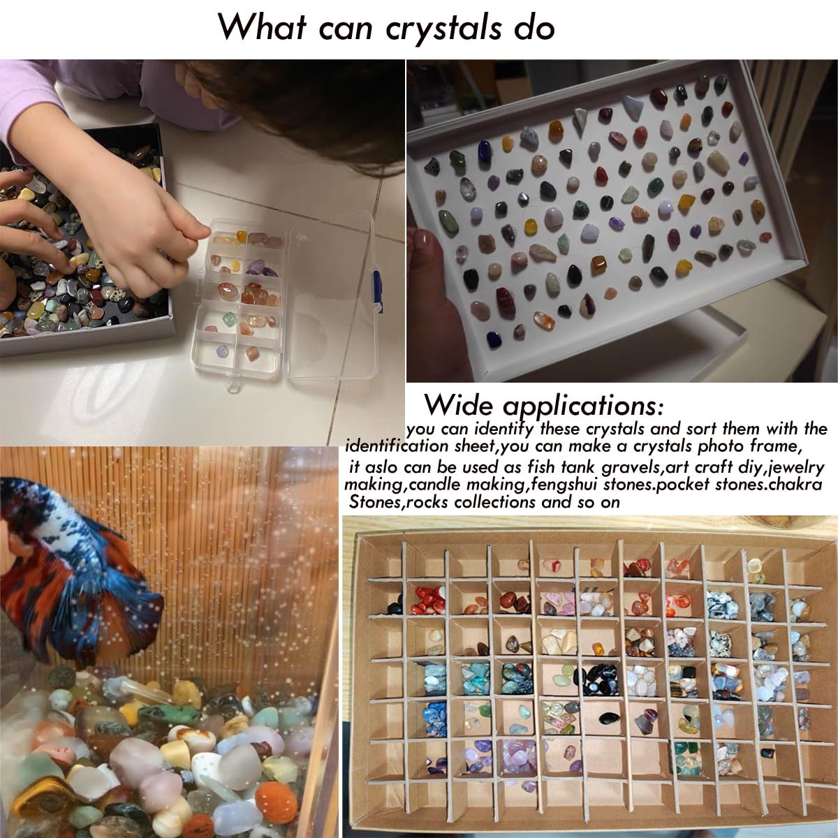 SeeuFun 60Kinds+ Gemstones & Crystals Set — 60-65 Types Bulk Chip Crystals for Jewelry Making & Learning (0.55lb)