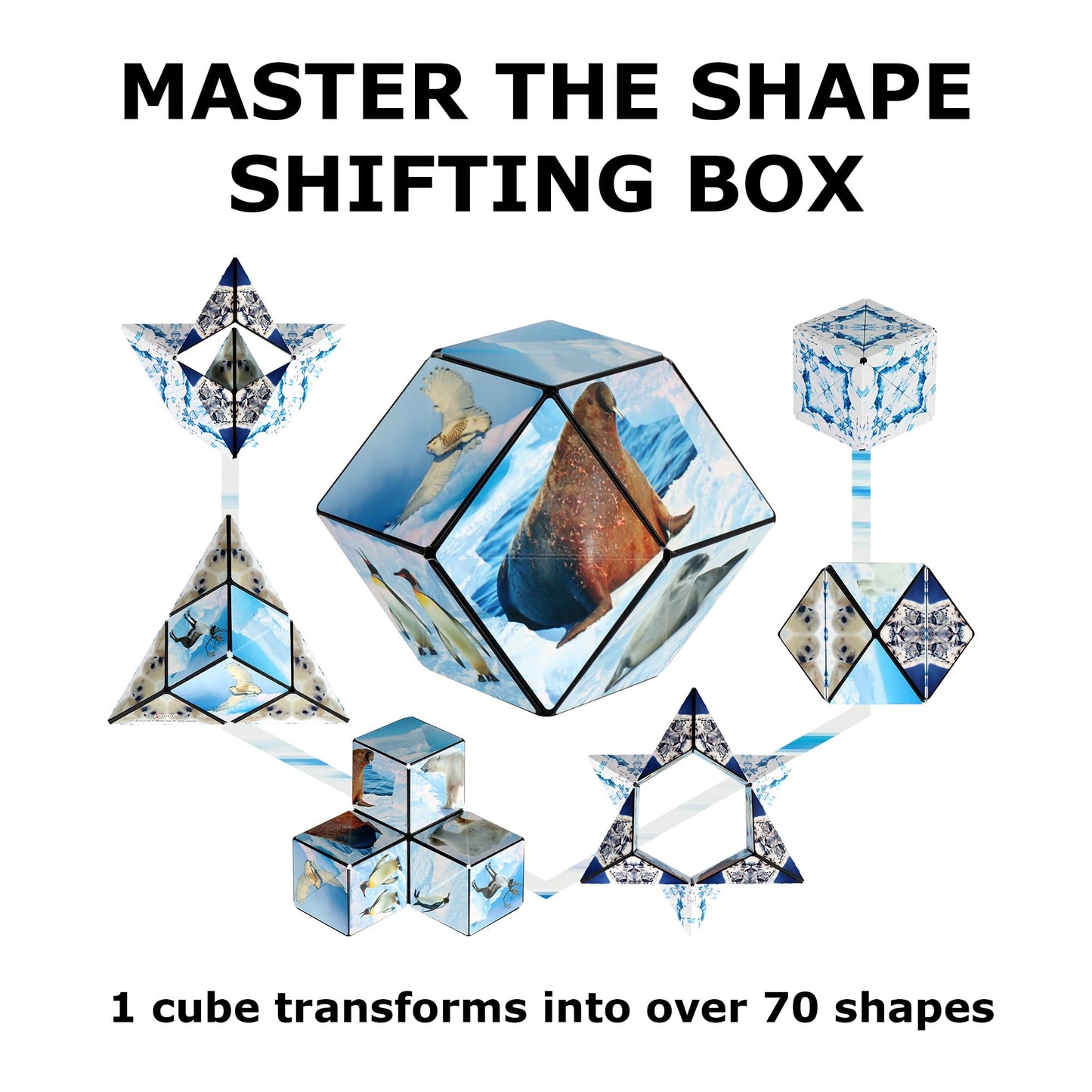 Shashibo Shape Shifting Box – Magnetic Puzzle Cube with 100+ Shapes | Sensory Gift for All Ages