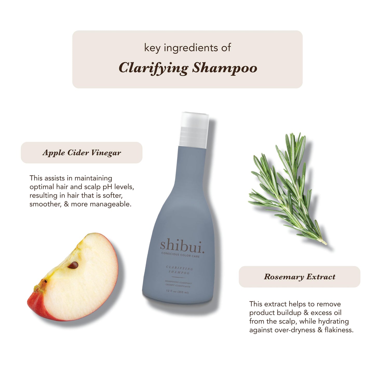 SHIBUI Clarifying Shampoo – Deep Cleansing, Purification & Shine | Color-Safe & Silicone-Free, 12 Fl Oz