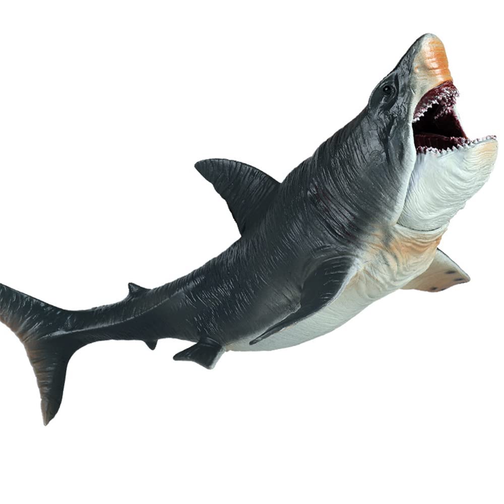 SIENON Large Megalodon Shark Toy – 10.6” Realistic Bath Toy, Cake Topper & Educational Ocean Figure