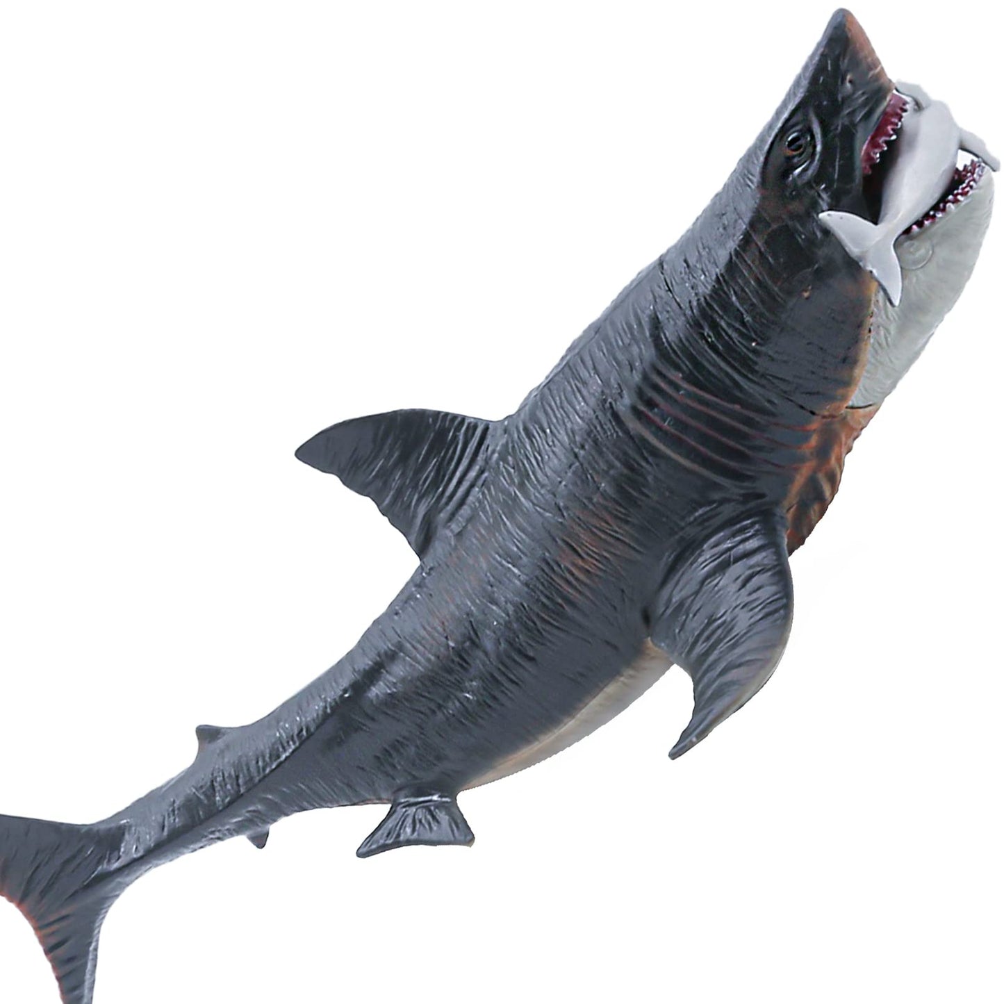 SIENON Large Megalodon Shark Toy – 10.6” Realistic Bath Toy, Cake Topper & Educational Ocean Figure