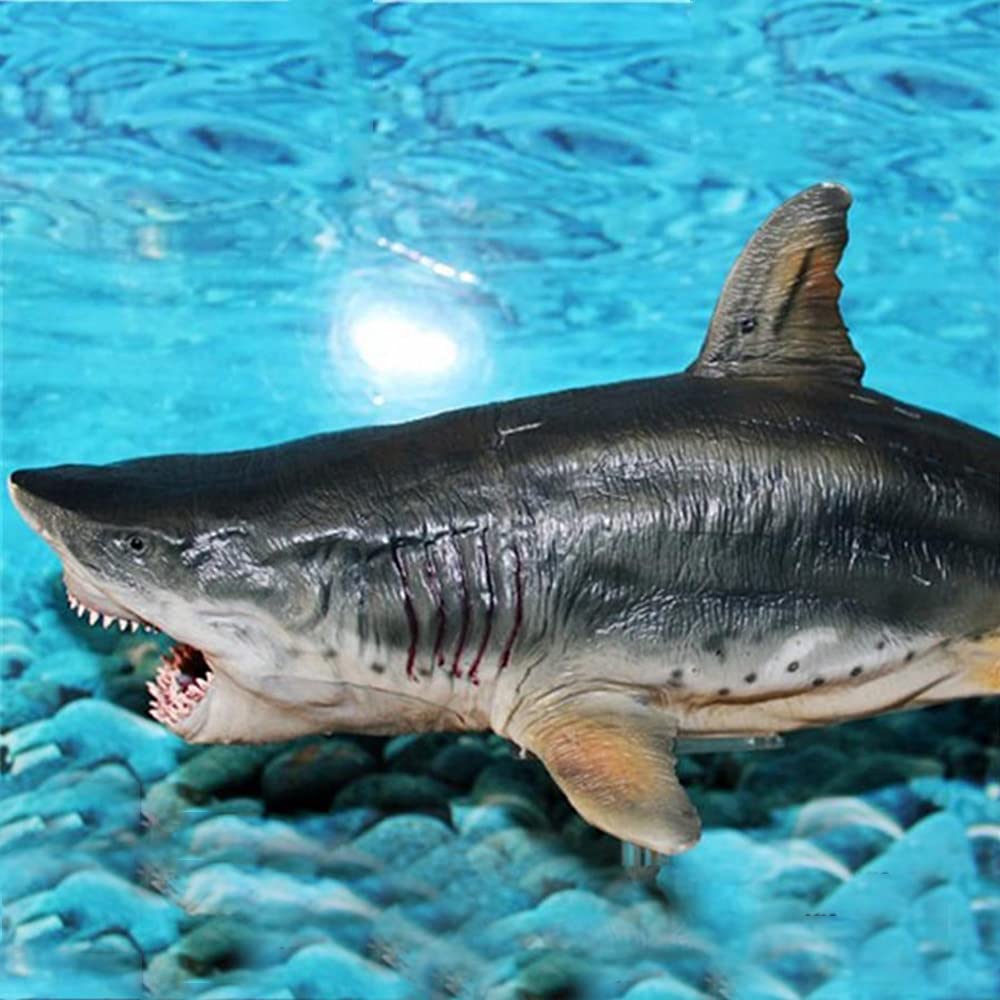 SIENON Large Megalodon Shark Toy – 10.6” Realistic Bath Toy, Cake Topper & Educational Ocean Figure
