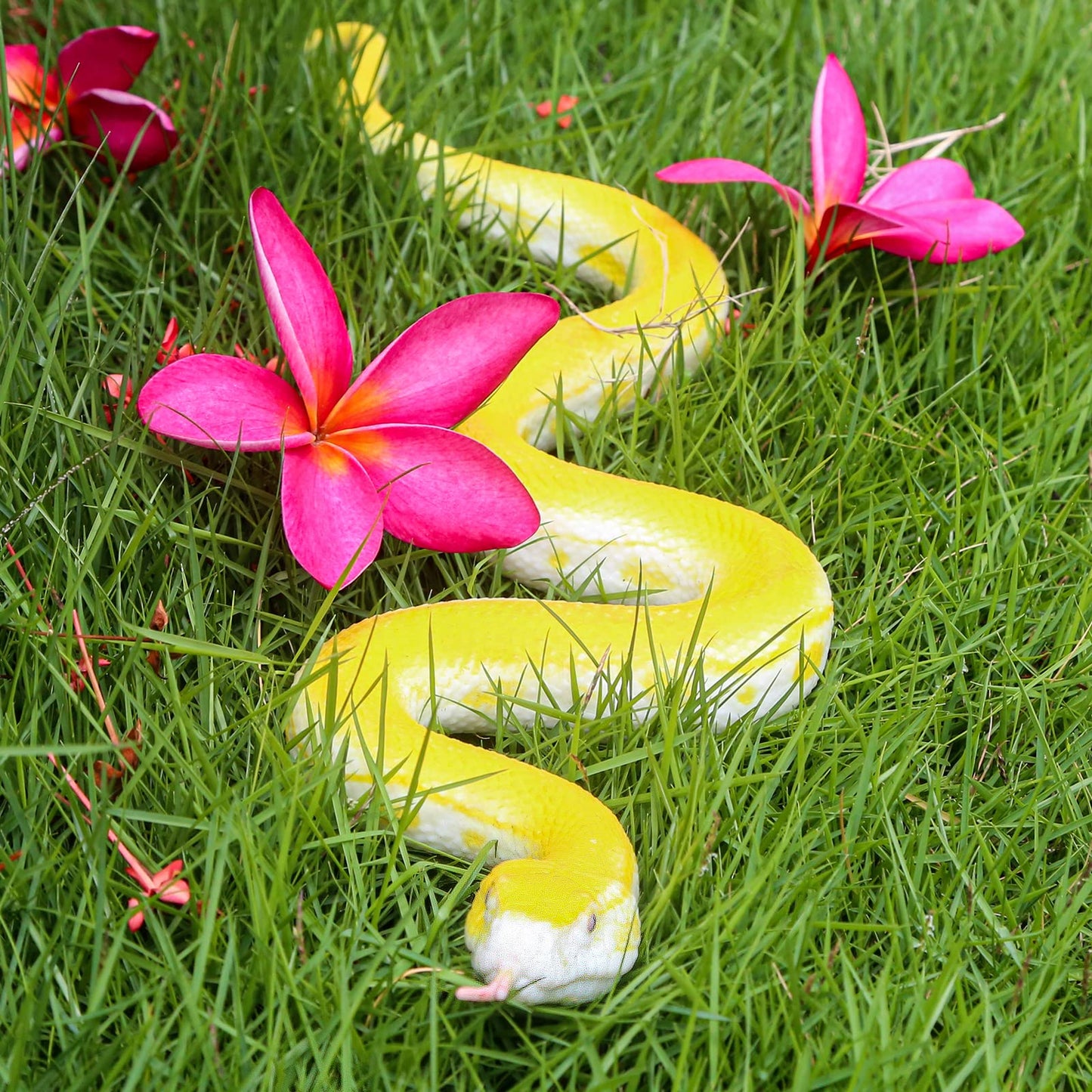SIENON Realistic Fake Snakes – Soft Rubber Python & Cobra Figures for Garden, Pranks & Education