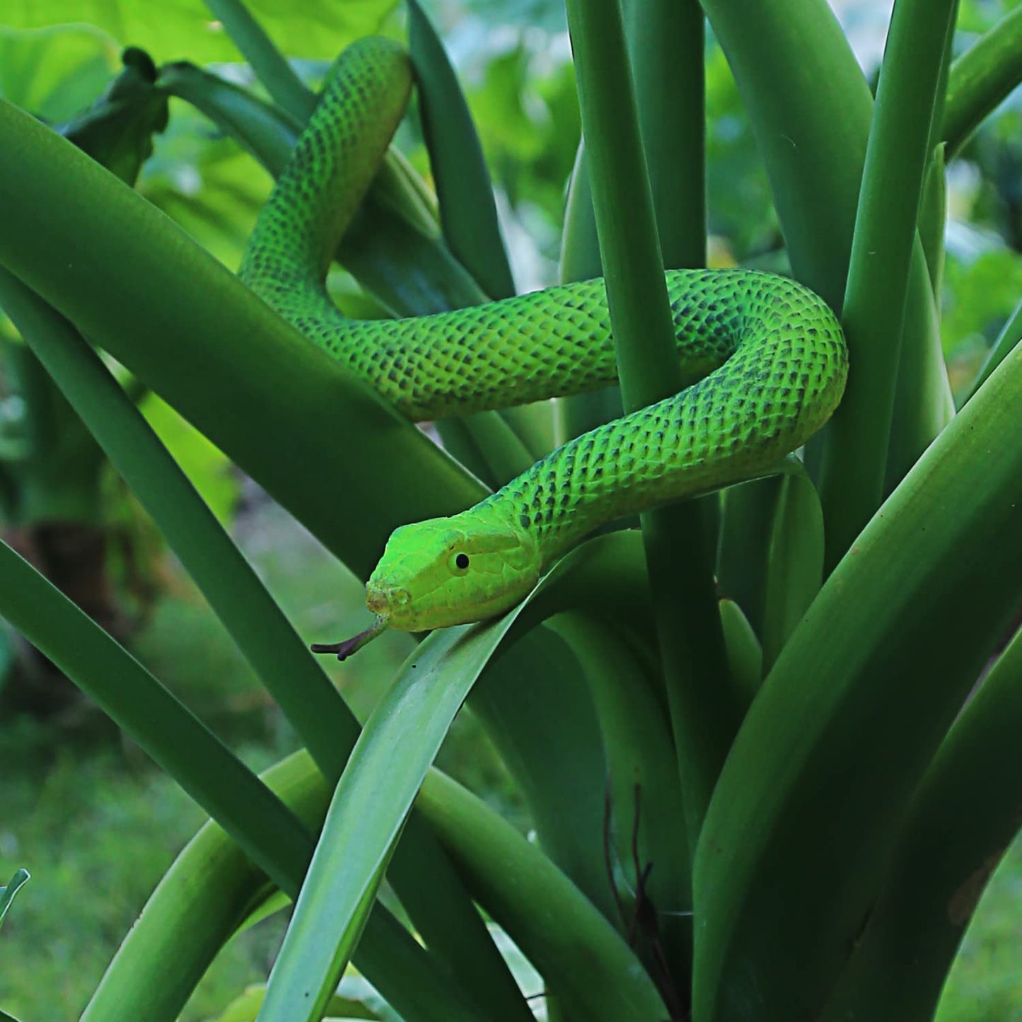 SIENON Realistic Fake Snakes Toy - Soft Rubber Snake Figures for Garden Deterrence, Pranks & Party Decor