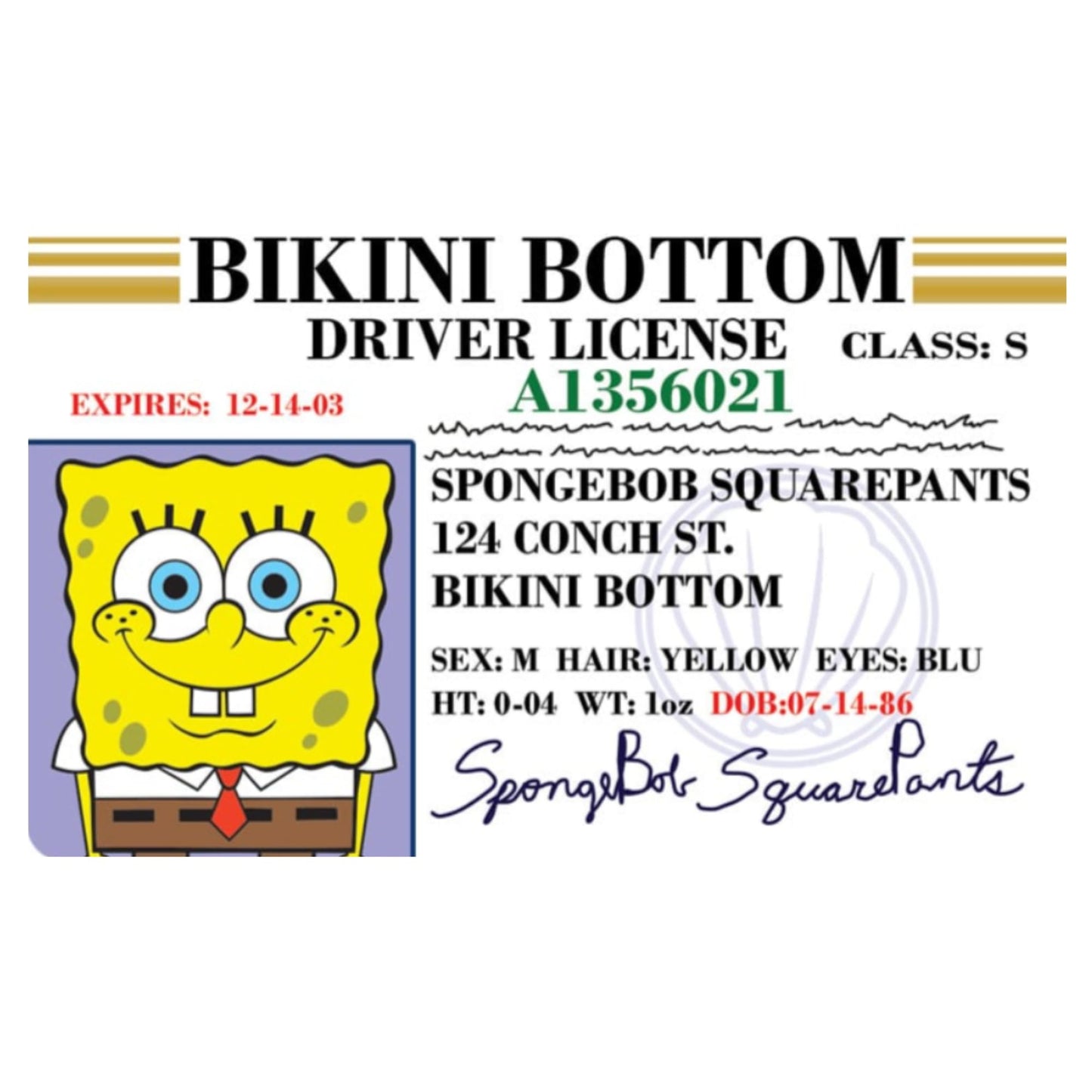 Signs 4 Fun Parody Driver’s License – Spongebob ID Collectible Card | Made in USA