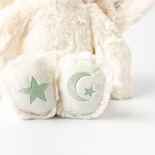 Slumberkins Sprite Kin 14\" Plush Bundle + 2 Board Books | Grief, Acceptance & Resilience for Ages 0+