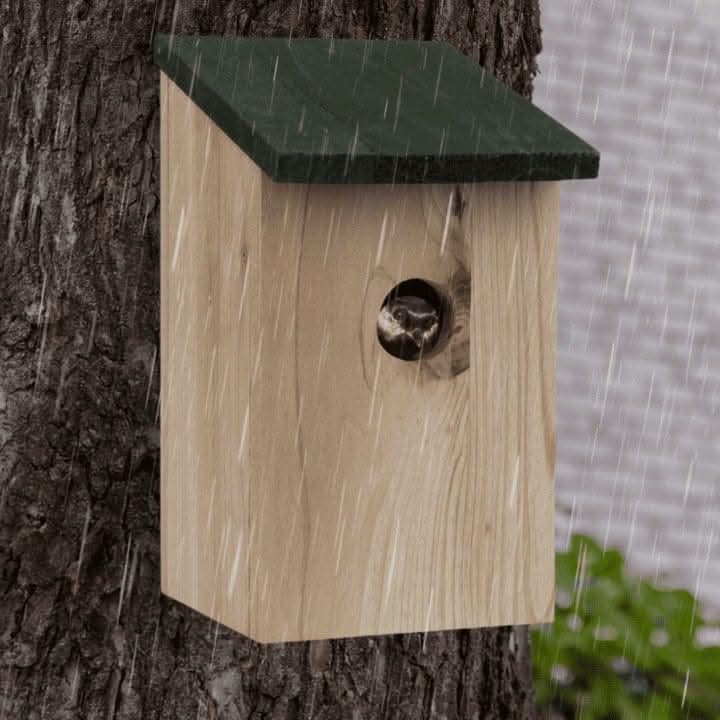 2 Pack Wooden Bird Nesting Boxes for Small Garden Birds