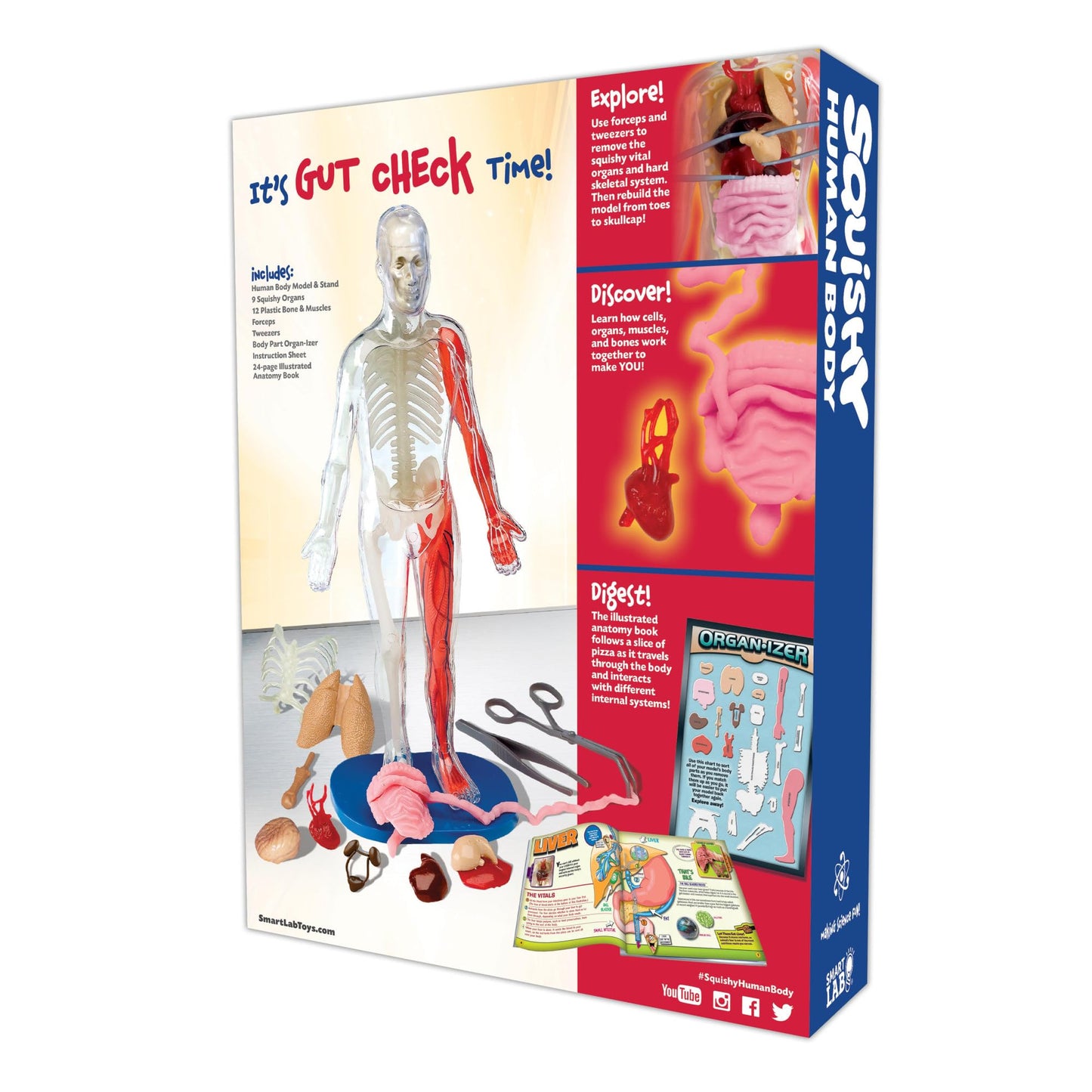 SmartLab QPG Lab for Kids: Squishy Human Body – Hands-On Anatomy for Grades 3-8