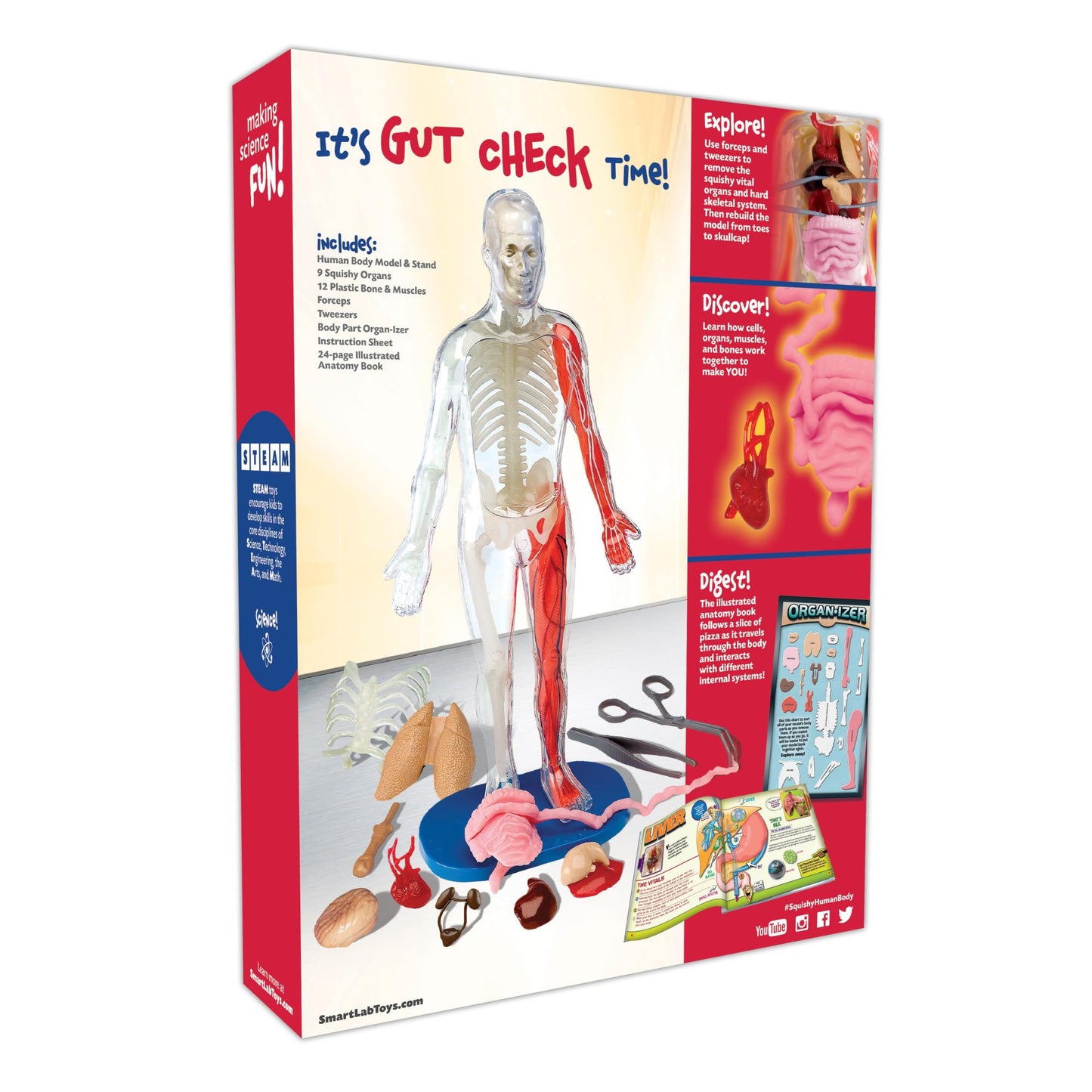 SmartLab QPG Lab for Kids: Squishy Human Body – Hands-On Anatomy for Grades 3-8