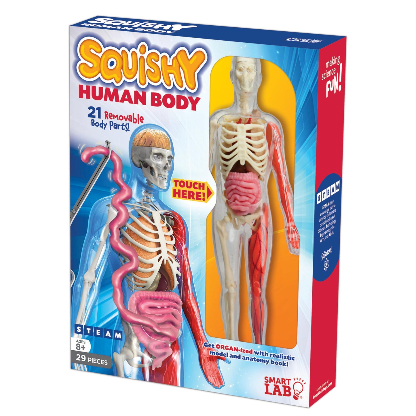 SmartLab QPG Lab for Kids: Squishy Human Body – Hands-On Anatomy for Grades 3-8