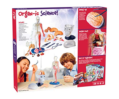 SMARTLAB Totally Squishy: 60-Piece Human Body Kit with 12-Inch Model & Glowing Eyeballs