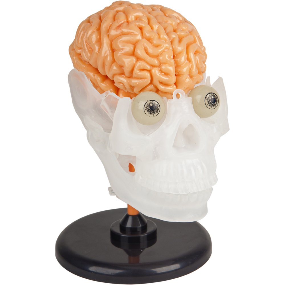 SMARTLAB Totally Squishy: 60-Piece Human Body Kit with 12-Inch Model & Glowing Eyeballs