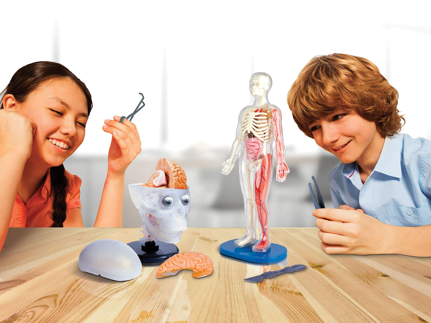 SMARTLAB Totally Squishy: 60-Piece Human Body Kit with 12-Inch Model & Glowing Eyeballs