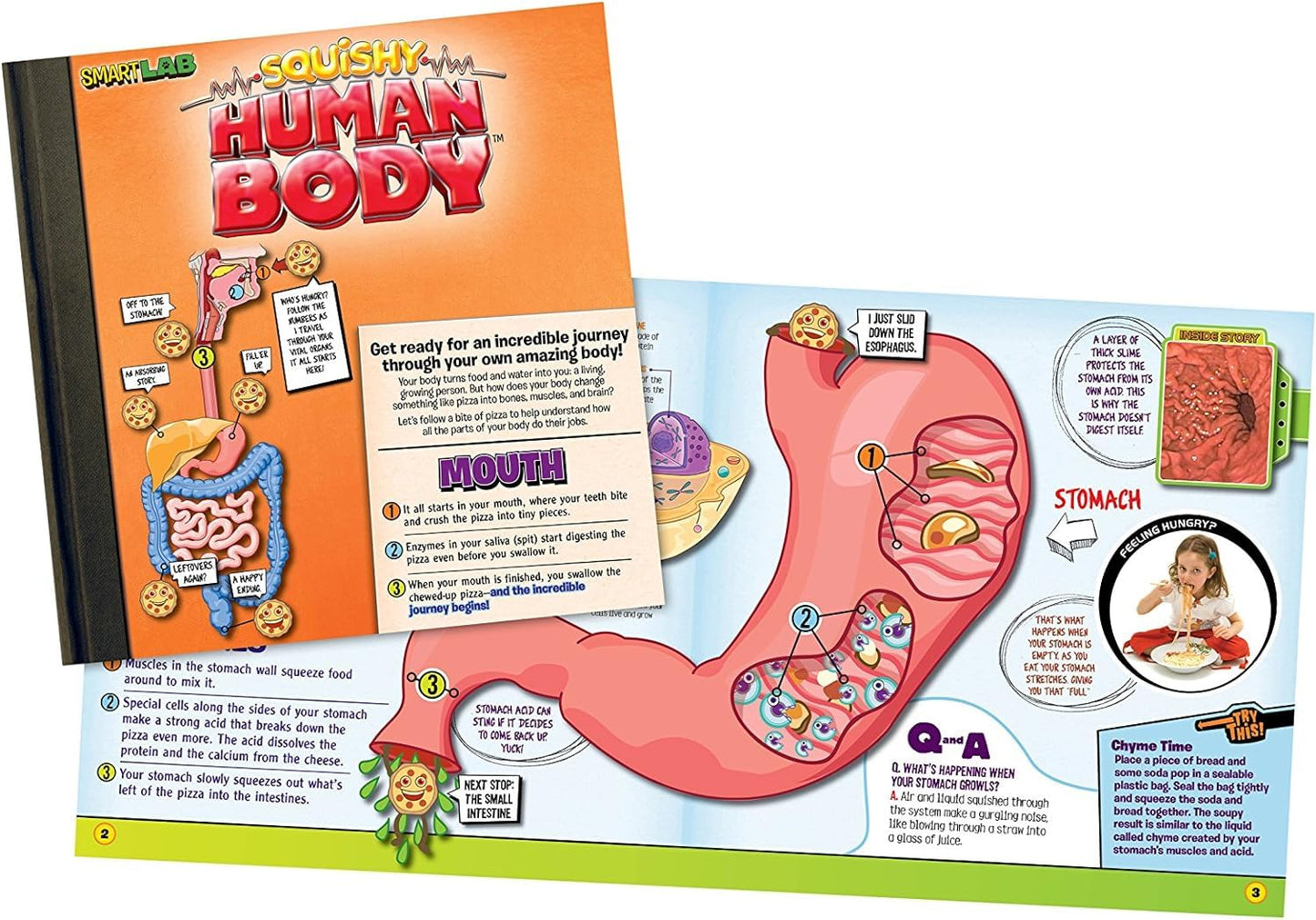 SMARTLAB Toys Squishy Human Body: 21 Removable Parts & Anatomy Book