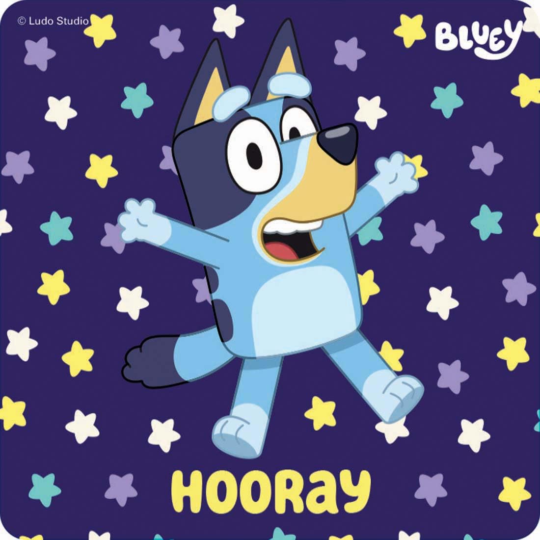 SmileMakers Bluey Stickers for Kids Classroom – 100 Count, 5 Designs, 2.5-Inch Reward Stickers