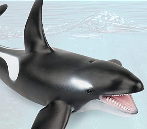 SmilerSmile Simulated Ocean Killer Whale — 15-Inch Soft PVC Educational Toy